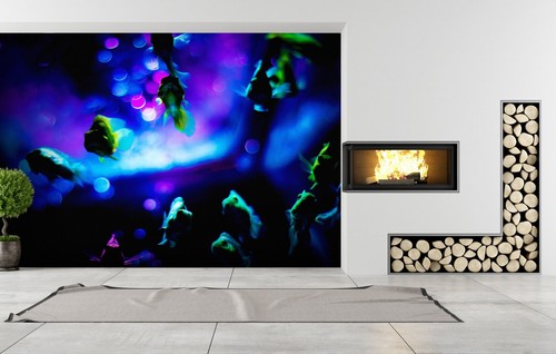 Farbige neonfische ozean - neonfische,