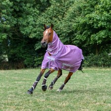 % Bucas Fliegendecke Freedom