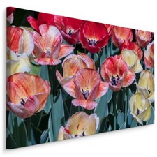 CANVAS Leinwand Bilder XXL