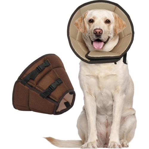 Hundehalsband leckschutz - hundehalsband,