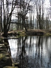 Foto 6x4 Fischteich Holz