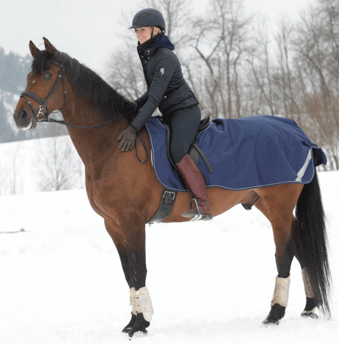 Ausreitdecke riding rug - ausreitdecke,