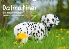 Dalmatiner - Ein immerwährender Geburtstags-Kalender[...] | Buch | 9783660505801