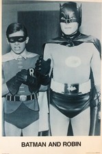 Batman and Robin (US Serie