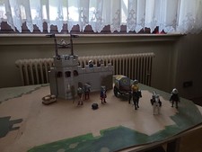 Goldschatztransport 4874