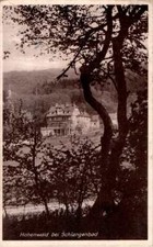 AK GRUß AUS SCHLANGENBAD RHEIN TAUNUS KREIS HOTEL PENSION HOHENWALD 1929 HESSEN