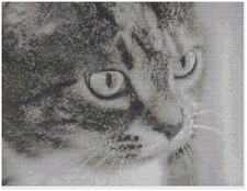 Kreuzstichmuster Von