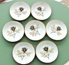 Rosenthal Schattenrose 7