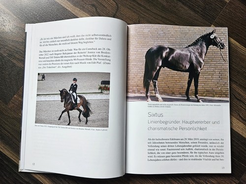 Berühmte trakehner der welt - trakehner,