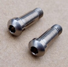 Campagnolo • 1 Paar Käfigschrauben für C-Record Schaltwerke 2.Gen  NOS