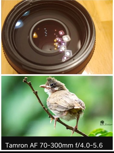 Tamron 300 mit eingebaute - 70,