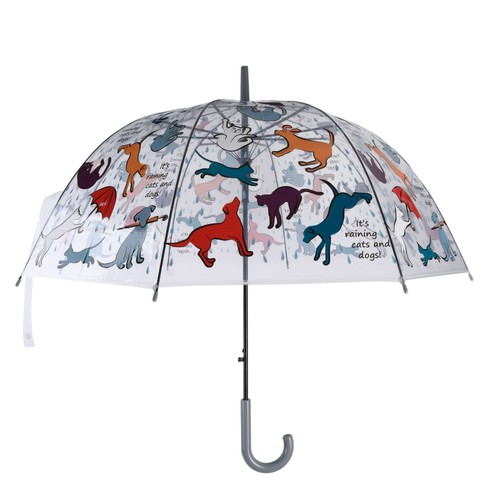 Transparenter regenschirm mit - transparenter,