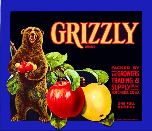 Hotchkiss colorado grizzly - colorado,