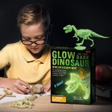 Dinosaurier Ausgrabungsset mit