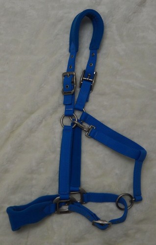 Halfter warmblut premium luxus - warmblut,
