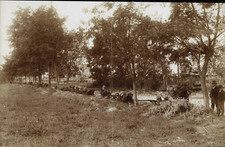 Frankreich, Erster Weltkrieg