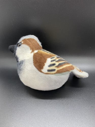 Haussperling singvogel zoll - haussperling,