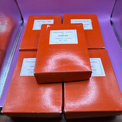 Boxes microscope prepared - 5,