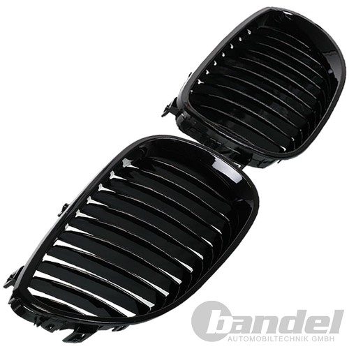 Kühler grill sport nieren - sport,