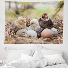 Chicks Mikrofaser Breiter