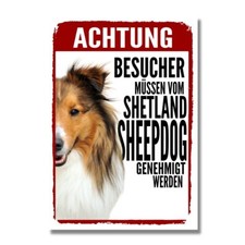 Sheltie Genehmigung Shetland