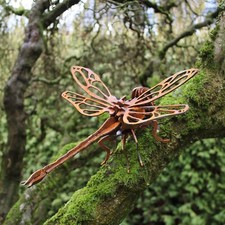 Libelle edelrost art - in,