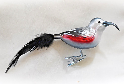 Mauerläufer vogel lauscha - ❀,