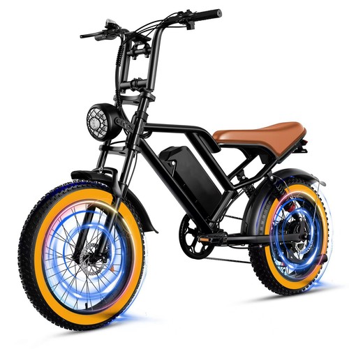 Elektrofahrrad 1000w motor - 1000w,