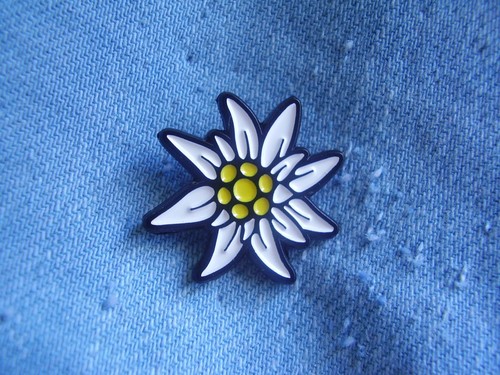 Pin bundeswehr gebirgsjäger - pin,