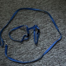 Katzengeschirr Mit Leine Trixie