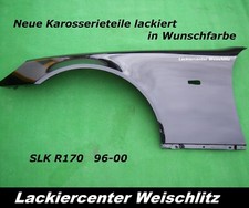 KOTFLÜGEL LACKIERT