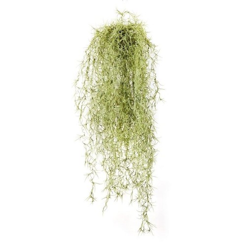 Artplants kunst tillandsia - artplants,