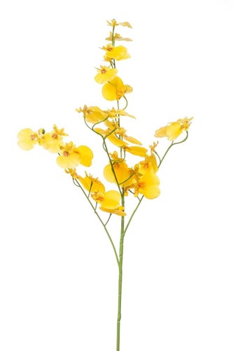 Artplants kunststoff oncidium - artplants,