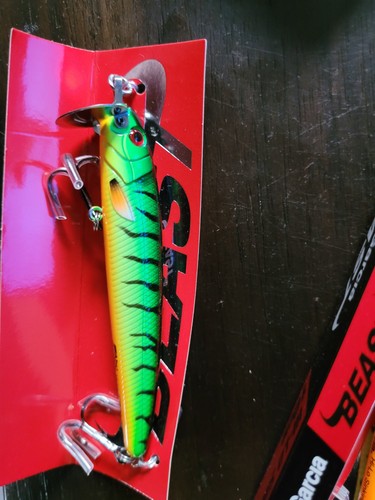 Abu garcia beast sinking - abu,