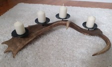 Kerzenständer Unikat  Advent Damhirsch Geweih 