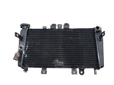 TRIUMPH SPEED TRIPLE 955i 2003 2004 WASSERKÜHLER REPARIERT MIT LÖTUNG