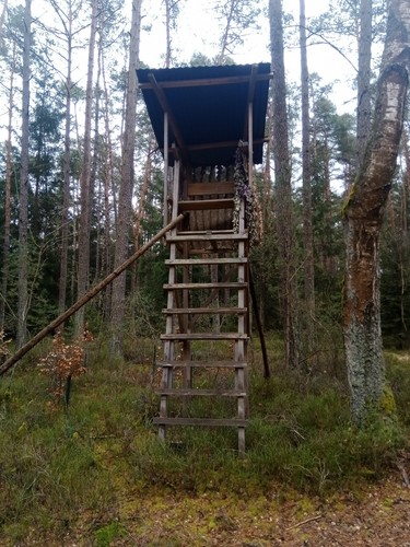Jagdkanzel hochsitz - jagdkanzel,,