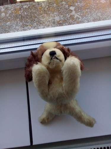 Firma steiff steifftier hund - firma,