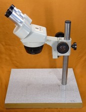 Euromex Stereomikroskop