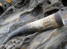 Natur raues Trinkhorn 1,5