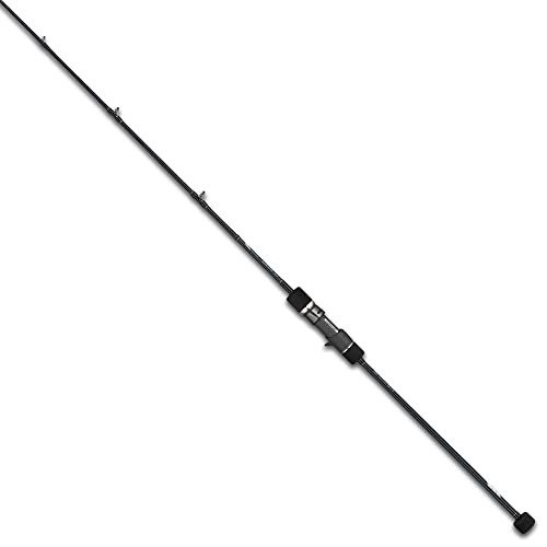 Tailwalk baitcastrute slow - baitcastrute,