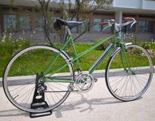 Vintage citybike roger - citybike,