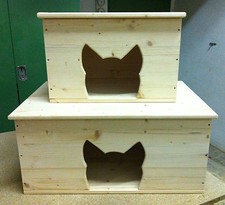 Katzenhaus Katzenhütte