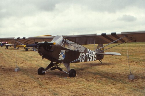Dia piper aar 06 - piper,