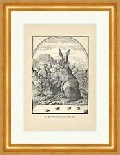 Der Hase nebst Spur Lepus timidus Nagetier Bungartz Holzstich Jagdbare Thiere 22
