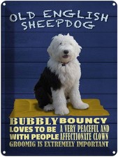 Blechschild 40x30 cm Old