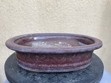 Bonsai Japan Schale
