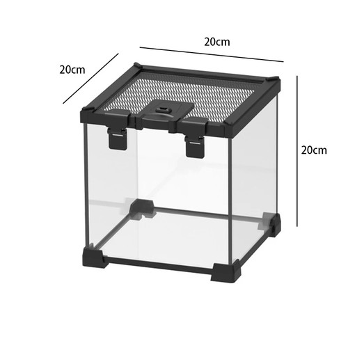 Reptile terrarium transparent - terrarium,