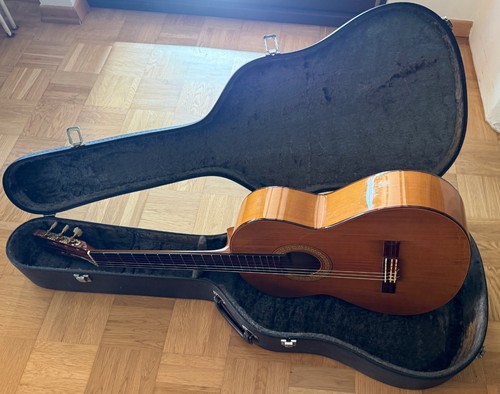 Yairi gf350 meistergitarre - yairi,