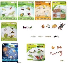 Safari Ltd Lebenszyklus Ameise